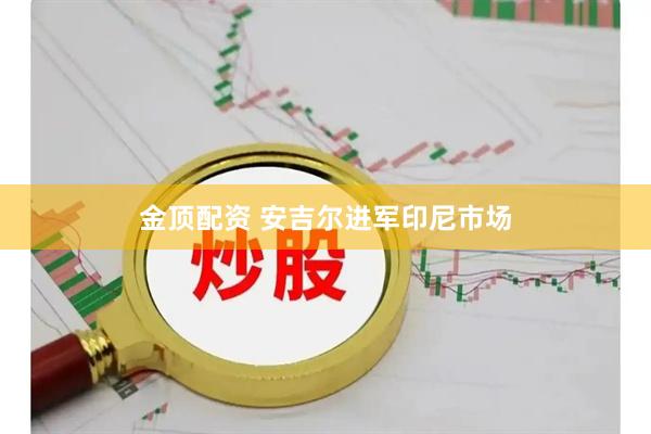 金顶配资 安吉尔进军印尼市场