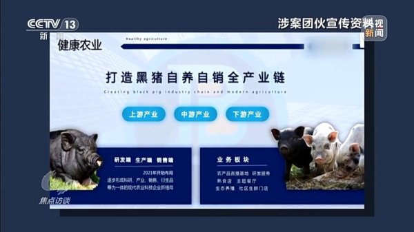 策略通 焦点访谈丨已有数万人被骗 起底“云养殖”里的骗局