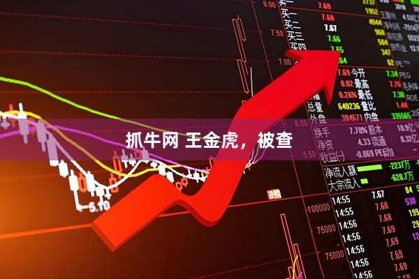 抓牛网 王金虎，被查