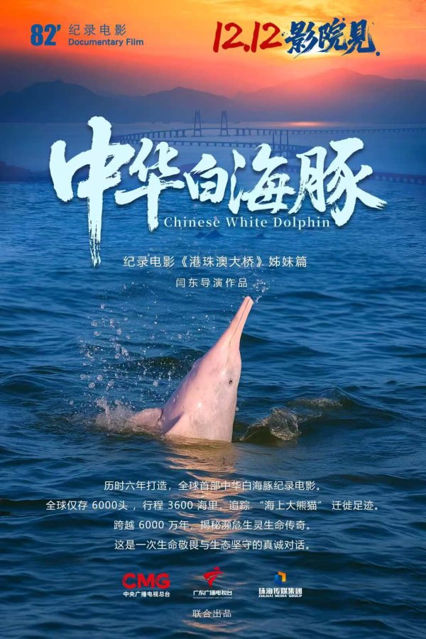 658配资 全运冠军携手吉祥物官宣定档！纪录电影《中华白海豚》12月12日上映